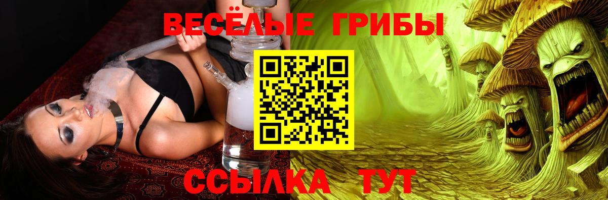 Псилоцибиновые грибы Magic Shrooms Кизилюрт