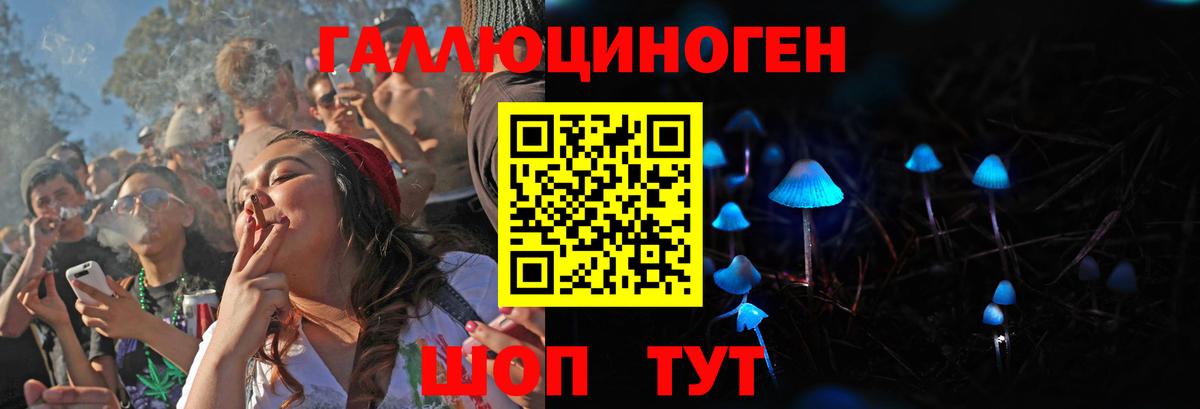 Кизилюрт  Псилоцибиновые грибы Psilocybine cubensis  Вход с VPN 